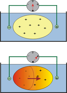 electrocardiogram volume conductor principles