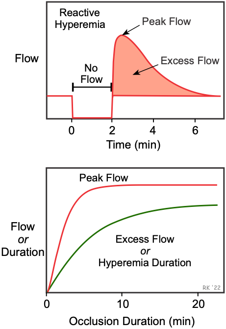 Reactive hyperemia
