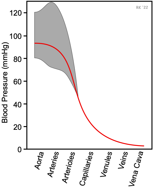 Distribution of vascular pressures