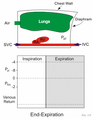 abdominothoracic pump promotes venous return