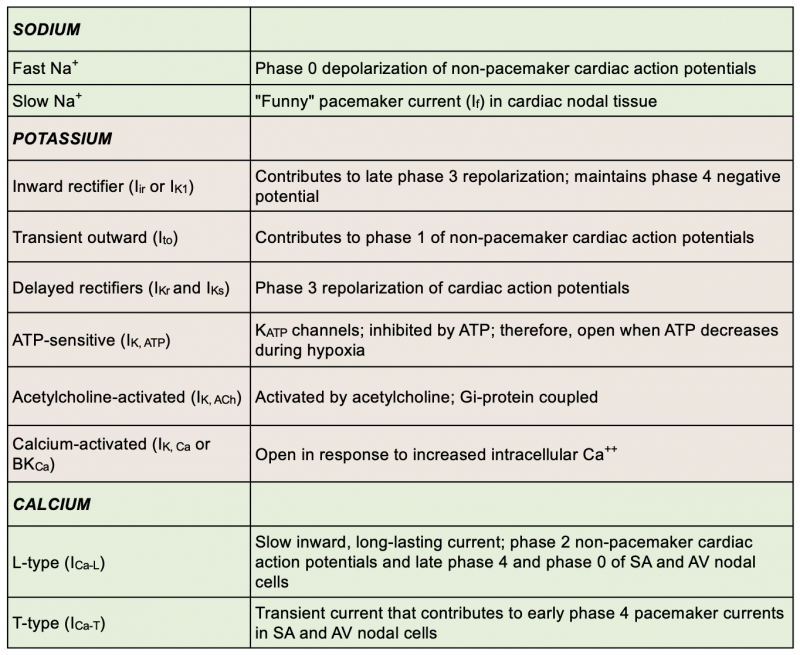 Cardiac ion channels - table